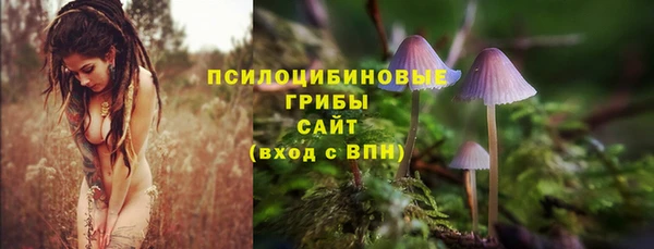 а пвп мука Армянск