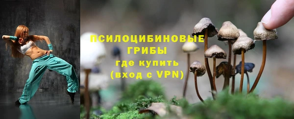 а пвп мука Армянск