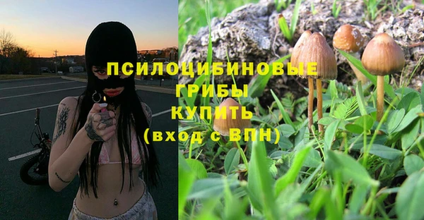 бошки Аркадак