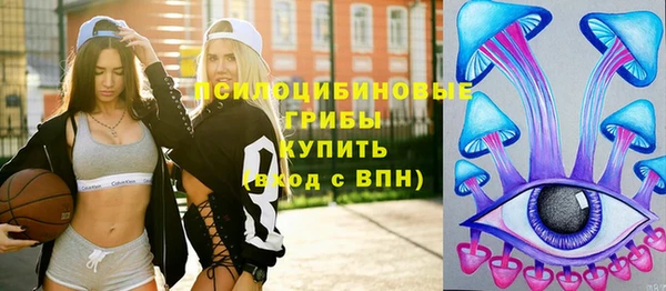 соль ск Алзамай