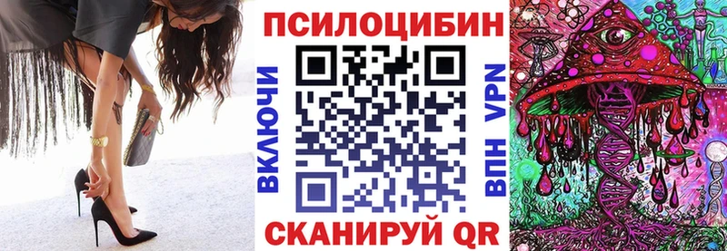 Псилоцибиновые грибы прущие грибы  Чудово 